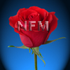 red unique roses